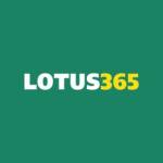 lotus365 limited profile picture