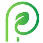 Parchment paper profile picture