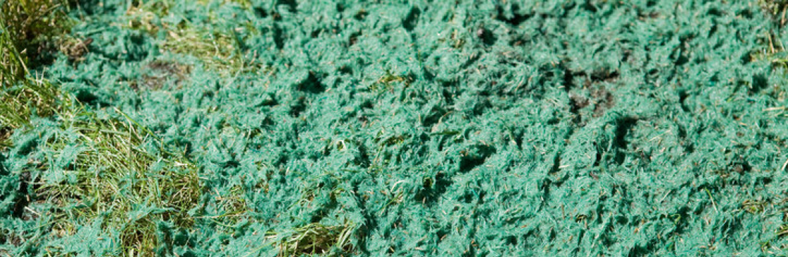 Luca Oscar Cover Image