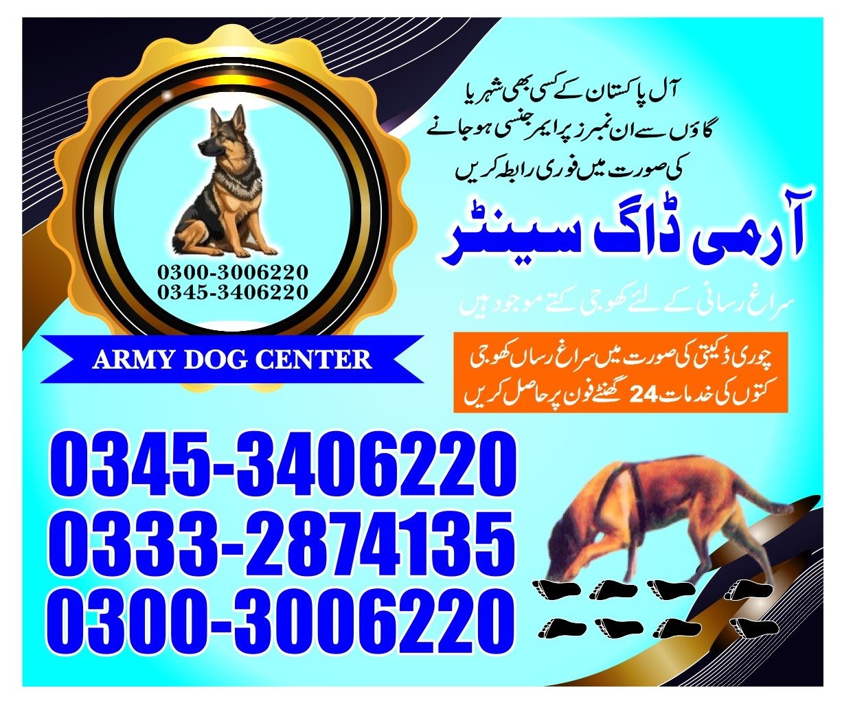 Army Dog Center | Our Blog
